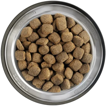 Belcando Junior Large Maxi - Image 2