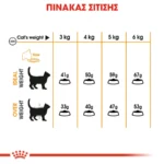 Royal Canin Care Dry Cat Food - Hair And Skin Care - Image 3