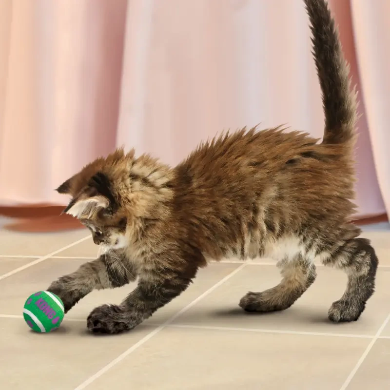 KONG® CAT TOYS - CAT ACTIVE TENNIS BALLS W/BELLS - Image 3