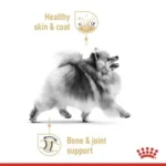 Royal Canin Pomeranian Adult - Image 3